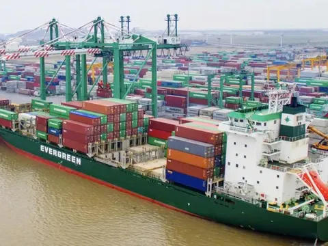 Cổ phiếu VSC lao dốc gần 40%, bị loại khỏi danh mục tự doanh CTCK