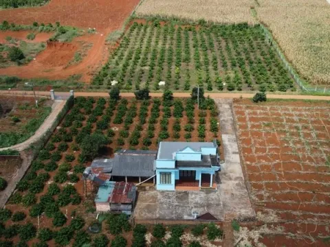 Chấm dứt cảnh chuyển đổi đất vườn lên đất ở nộp thuế tiền tỷ