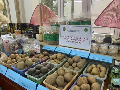 Đưa nông sản 'bay xa' bằng con đường ngoại giao