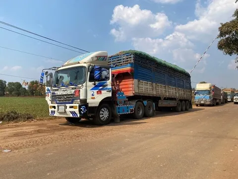 Thủ tướng chỉ đạo tháo gỡ vướng mắc trong triển khai Nghị định 46/2026/NĐ-CP về an toàn thực phẩm