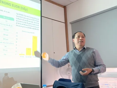 'Thước đo mới' cho xuất khẩu lâm sản Việt Nam