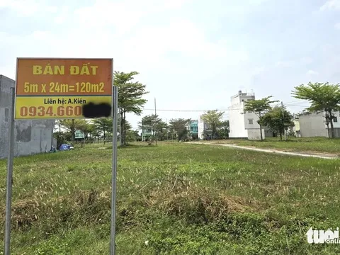 HoREA kiến nghị bổ sung cơ chế hợp thửa đất, đề xuất điều chỉnh diện tích tách thửa tại TP.HCM