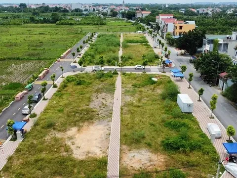 Lãng phí đất đai có thể bị khởi tố hình sự