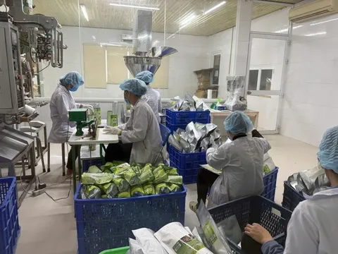 Xuất khẩu nông lâm thủy sản: Nhiều ngành hàng tăng tốc, mở rộng thị phần