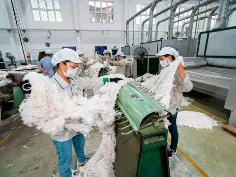 Công ty An Phước bị ngân hàng 'siết nợ' nhà máy sản xuất sợi dệt