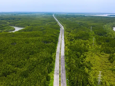 UBND TPHCM ban hành kế hoạch giải phóng mặt bằng tuyến đường sắt Bến Thành - Cần Giờ