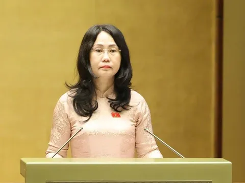 "Hai cánh chim" của nền kinh tế và mệnh lệnh chuyển đổi mô hình tăng trưởng