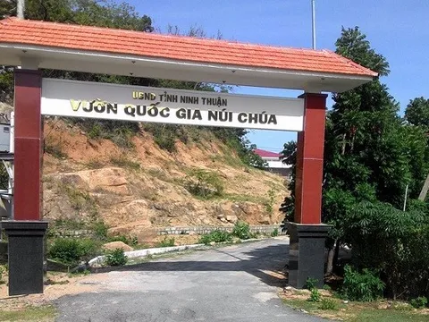 Thành viên BIM Group muốn “lấy” hơn 12ha rừng Vườn Quốc gia Núi Chúa làm khu nghỉ dưỡng?