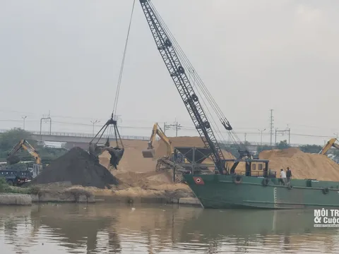 Thủ Đức (TP. Hồ Chí Minh): Cần xử lý dứt điểm các công ty kinh doanh tập kết cát, sỏi hoạt động gây ô nhiễm, không giấy phép môi trường