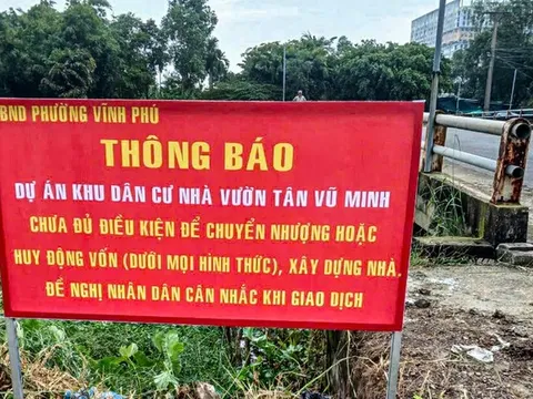 Sai phạm nghiêm trọng tại Dự án Khu dân cư nhà vườn Tân Vũ Minh ở Bình Dương