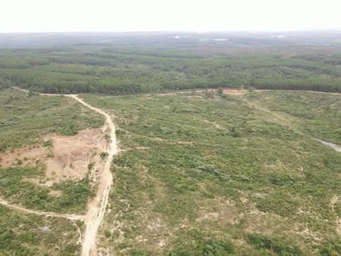 Dự án nông nghiệp công nghệ cao tại Quảng Trị nhiều lần “thất hứa”