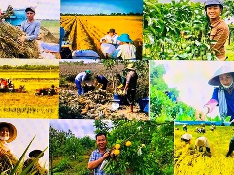 Mục tiêu tăng trưởng GDP toàn ngành nông nghiệp và môi trường năm 2026 đạt 3,7%