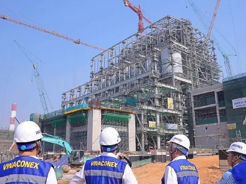 Ai đang thật sự nắm quyền tại Vinaconex?