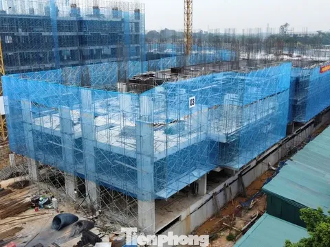 Hướng dẫn mới nhất xác nhận thu nhập mua NOXH cho lao động tự do