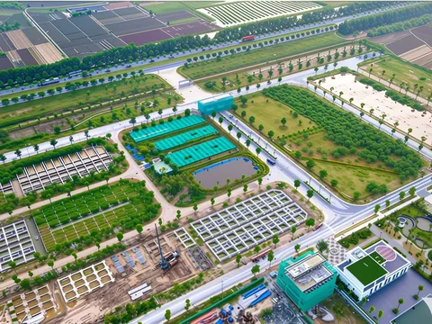 Đất nền có trở lại ‘ngôi vương’ đầu tư trong năm 2026?