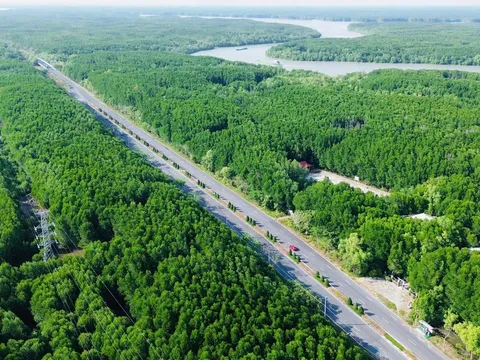 TP.HCM chốt thời hạn giải phóng mặt bằng dự án đường sắt Bến Thành - Cần Giờ