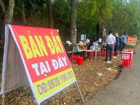 Đầu cơ gặp khó, nhà đầu tư nên “tính chuyện đường dài”