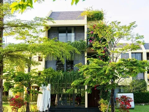 Sinh lời không đến từ “sóng thị trường” mà từ giá trị sử dụng