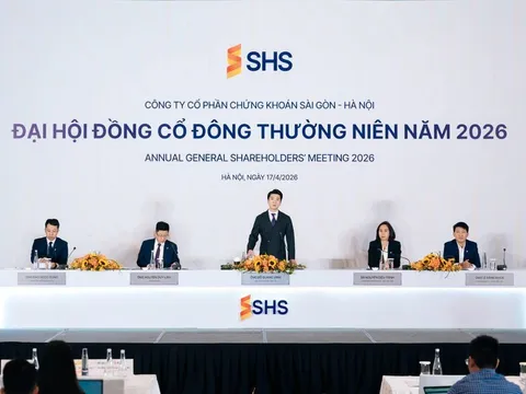 Ngân hàng và công ty chứng khoán tăng tốc tái cấu trúc: Tăng trưởng đi cùng chọn lọc
