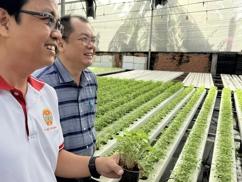 "Trụ đỡ" nông nghiệp trước áp lực giá: Cần chuyển mạnh từ sản lượng sang giá trị