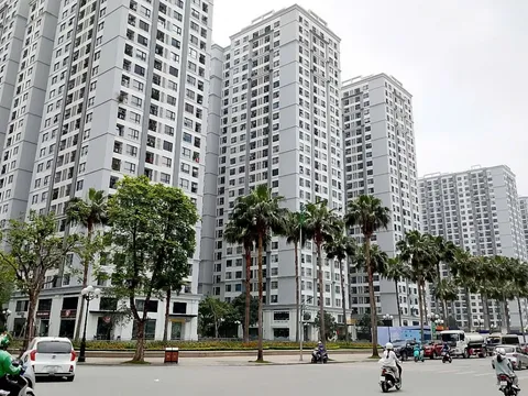 Giá chung cư 'neo' cao, Bộ Xây dựng tìm cơ chế làm nhà thương mại giá rẻ