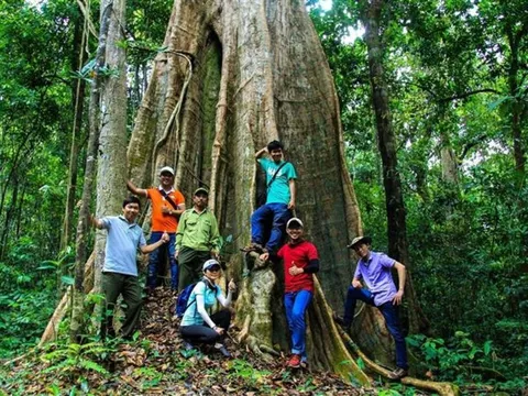 Đồng Nai quy hoạch 51 điểm du lịch sinh thái tại Khu bảo tồn thiên nhiên - văn hóa