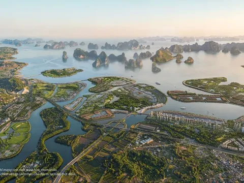 Thị trường bất động sản khởi sắc sau chính sách phá vây lãi suất của doanh nghiệp