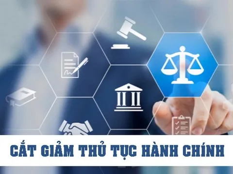 Chính phủ ban hành 8 Nghị quyết cắt giảm, phân cấp, đơn giản hóa thủ tục hành chính, điều kiện kinh doanh